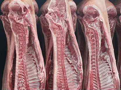 Мясо свинина в тушках