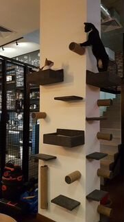 Домик для кошек