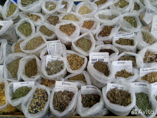 Целебные горные травы Кавказа