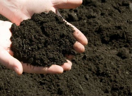 Чернозем грунт