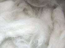 Шерсть (пух) белоснежного самоеда