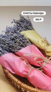 Лаванда сухоцвет