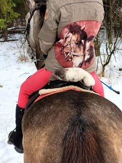 Обучение верховой езде