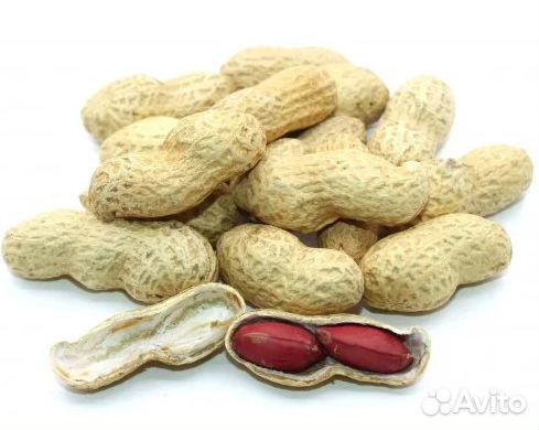 Земляной орех Арахис в кожуре