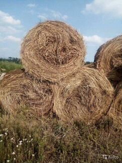 Сено