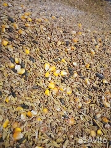 Корма для с/х животных