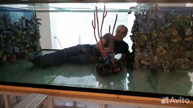 Аквариум