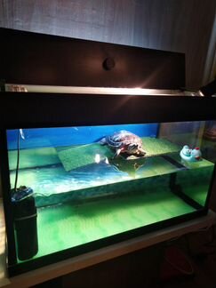 Аквариум для черепах 100 литров. Новый. Гарантия