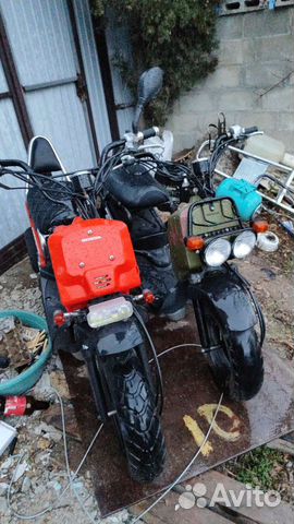 Honda zoomer ruckus в разбор