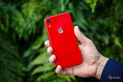 iPhone XR. Скупка Техники