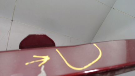 Ус под фару (ресничка) левый Toyota Sequoia, 2004