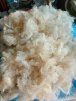 Пояс из шерсти самоедской лайки