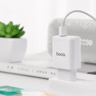 Сетевое зарядное устройство USB hoco C61A Victoria