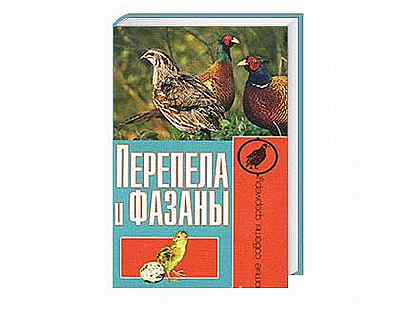 Перепел на диване 1977