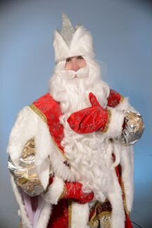 Дед Мороз и Снегурочка, аниматоры на Новый год