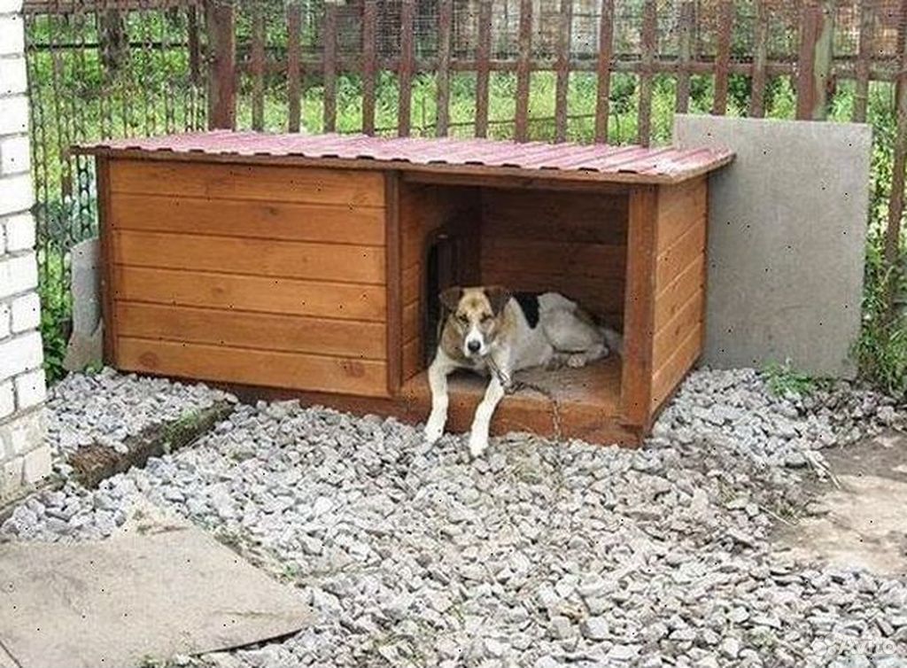 Будка для собаки с подогревом своими руками