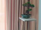 Искусственное дерево бонсай белая японская сосна