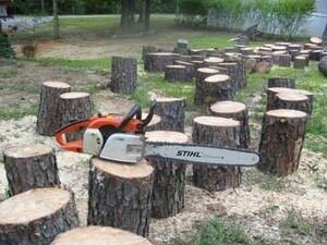 Удаление аварийных деревьев