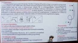Новый аспиратор-соплеотсос на пылесос Baby Vac