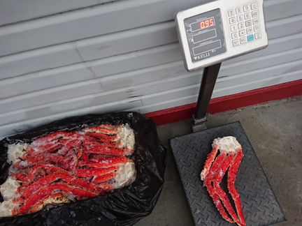 Краб- Камчатский. Крупный размер L3 Меркурий