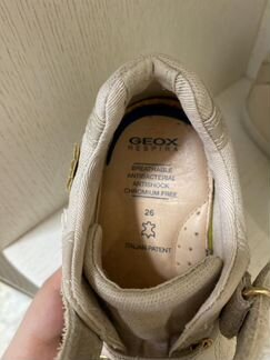 Кеды geox р.26
