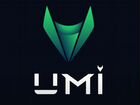 UMI - криптовалюта