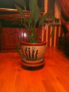 Подставка напольная на колёсах под цветочные горшк