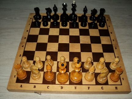 Шахматы СССР