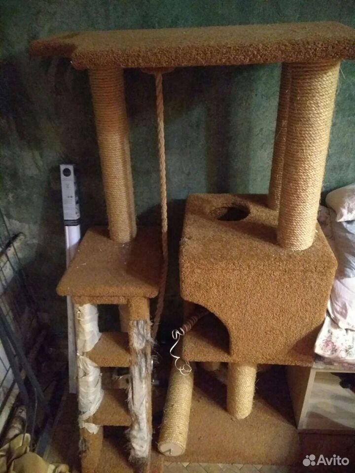 Когтеточка