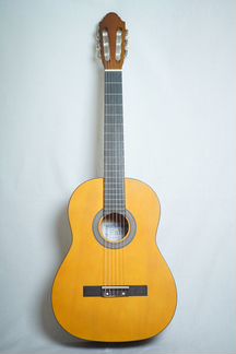 Класическая гитара Fabio+утепленный чехол