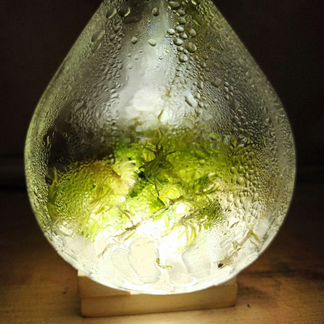 Вечная живая биосфера светильник 