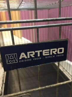 Клетка artero3, обмен