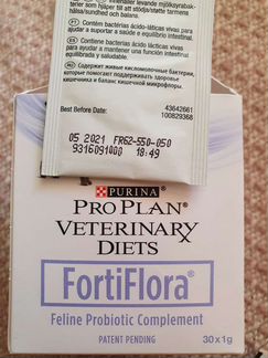 Корм для котят